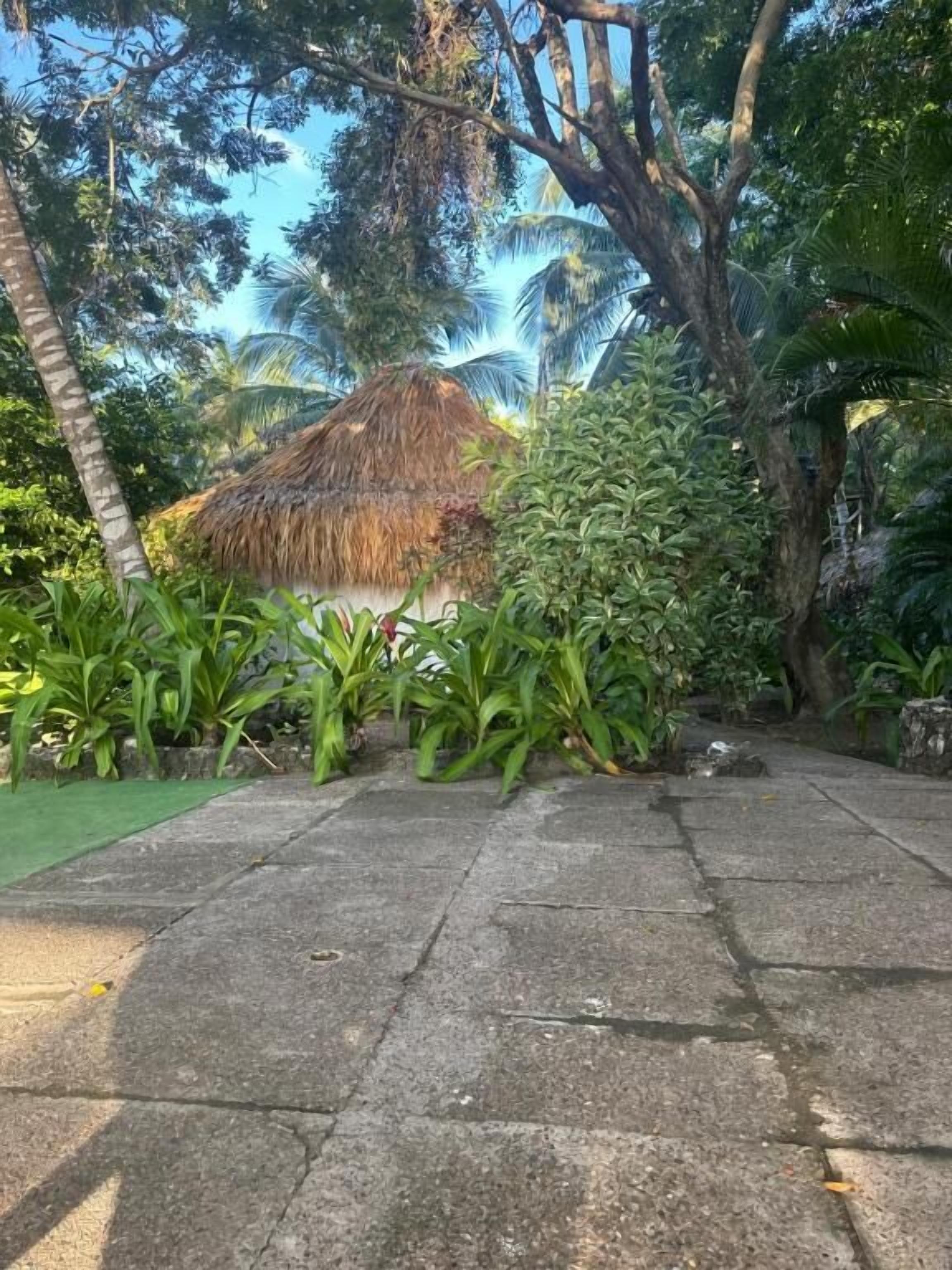 Bungalow, vista al jardín | Áreas de la propiedad