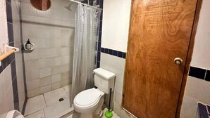 Et badeværelse med bruser, toilet og en trædør.