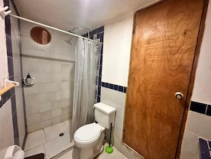 A bathroom with a shower, toilet, and a wooden door. - Orika del Mar  (Rosario Islands)