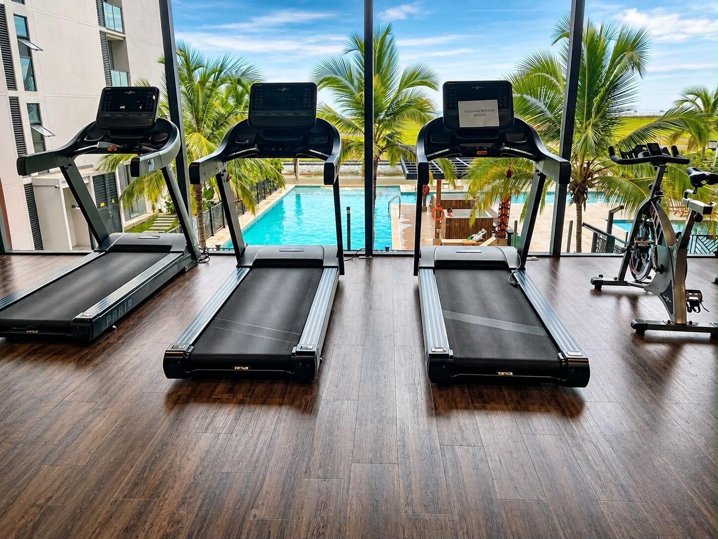 Gimnasio