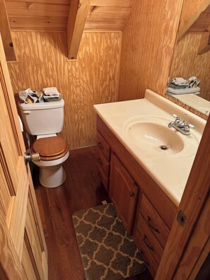 Hair dryer, towels, soap, toilet paper - Cozy 2-bedroom mountain cabin near Nashville (Altamnont)