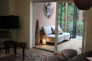 Smart TV, fireplace, books