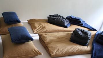 3 slaapkamers, een strijkplank/strijkijzer, gratis wifi, beddengoed