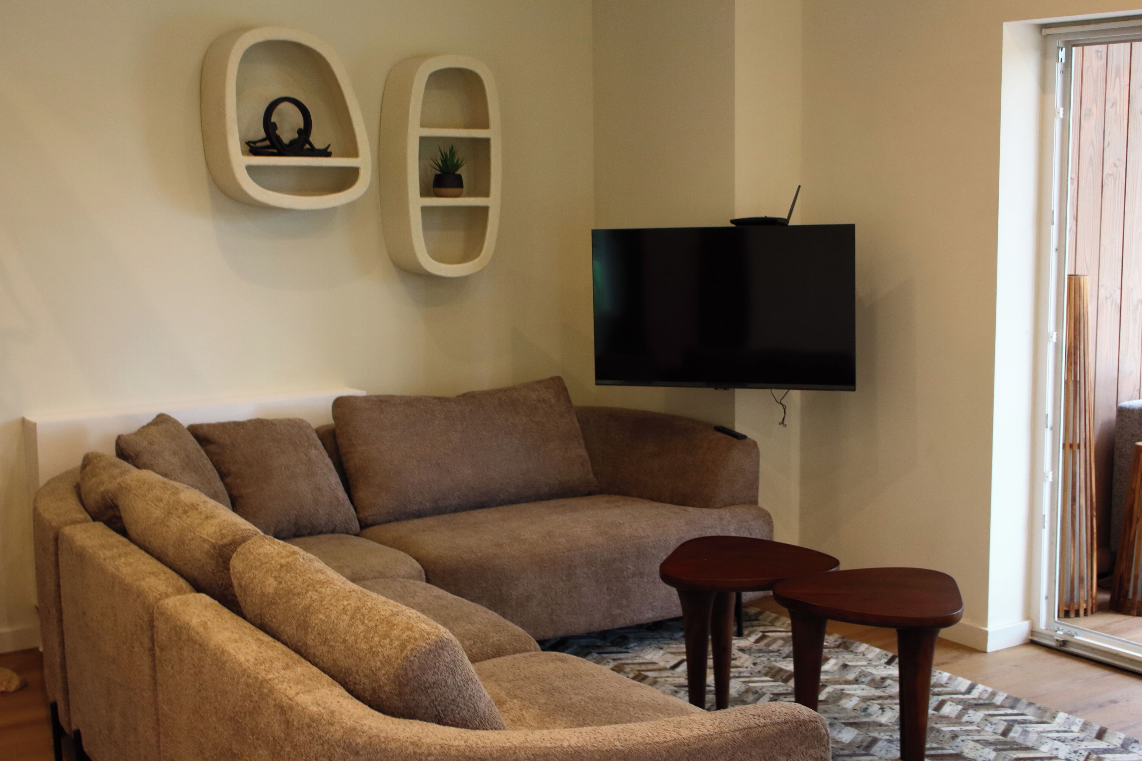 Smart TV, fireplace, books