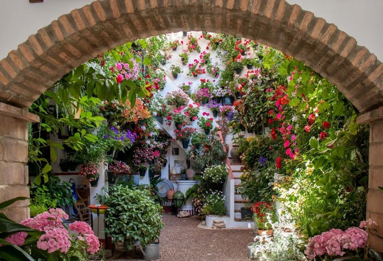 Jardines del alojamiento