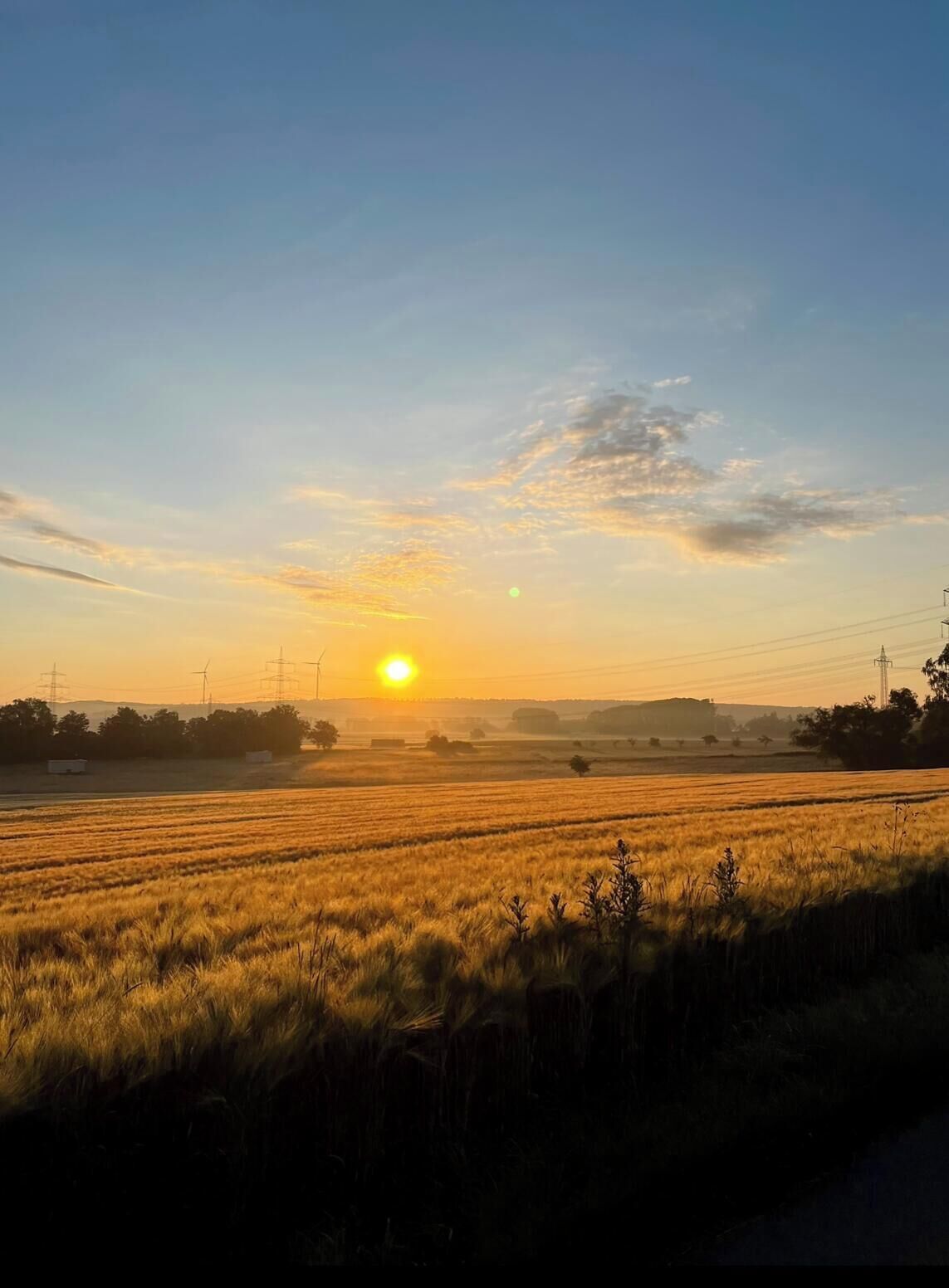 Solnedgang over et mark med elledninger i det fjerne.