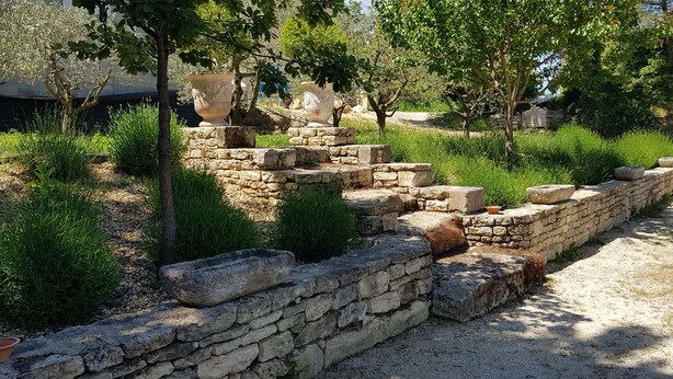 Ancient ruins with stone walls and steps, surrounded by greenery and trees. - La Bastide perched village in the Luberon (Ménerbes)