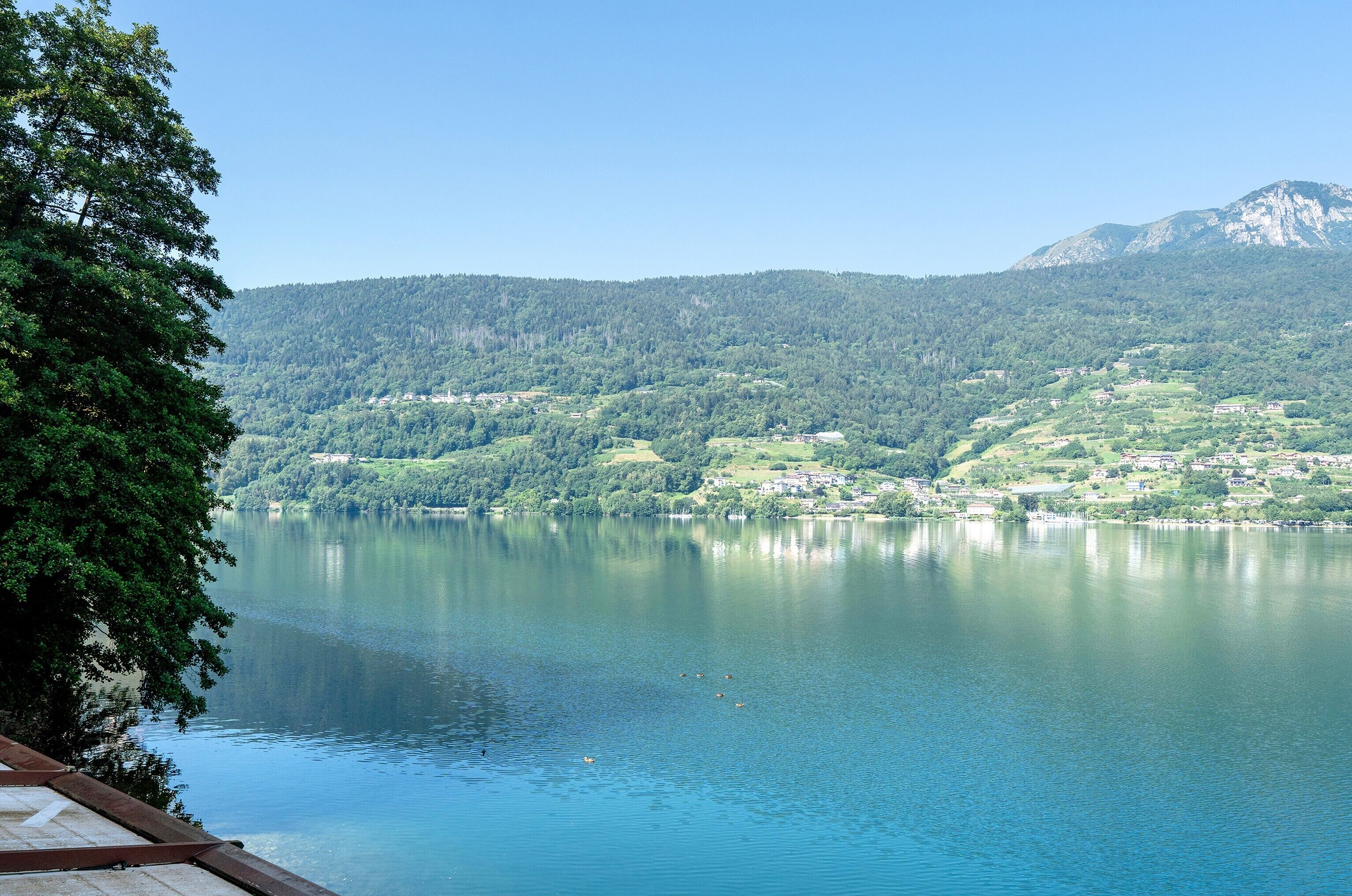 A calm lake with a forested mountain in the background.