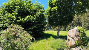 A natural landscape with trees, a rock, and a grassy field. - The vacation apartment in beautiful natural surroundings Relax, unwind and feel good (Hinterzarten)
