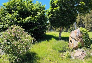 A natural landscape with trees, a rock, and a grassy field. - The vacation apartment in beautiful natural surroundings Relax, unwind and feel good (Hinterzarten)