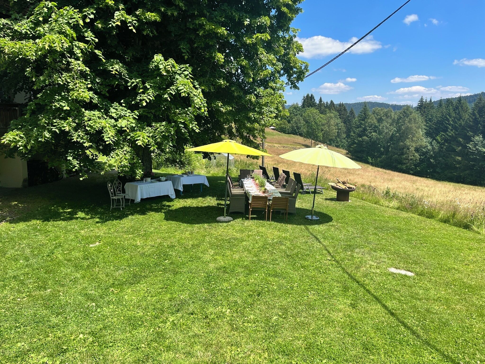 Et grønt udendørsområde med et bord dækket under en gul parasol, omgivet af træer.