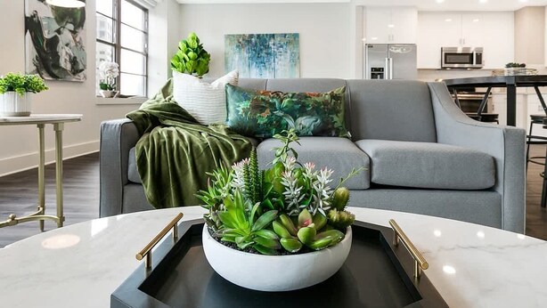 A modern living room with a grey sofa, a white coffee table with a black tray, and a variety of green plants. - Captivating Condo 5-minute Walk to French Quarter (New Orleans)