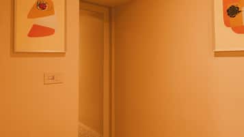 Shower, hair dryer, slippers, towels