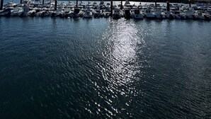 Un puerto deportivo con barcos amarrados, cielo despejado y un puente al fondo.