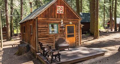 Accessible Cub Cabin at Camp Layman | Playful & Inclusive Riverside Stay