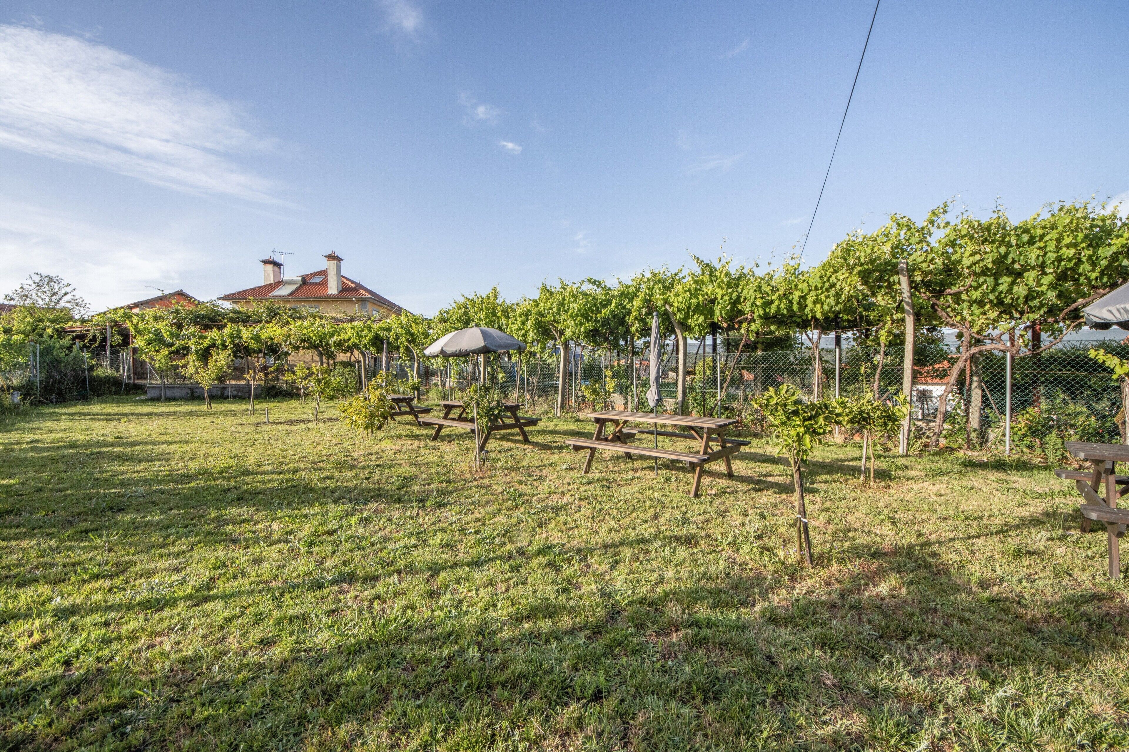 Un espacio al aire libre con césped, mesas de picnic y una pérgola.