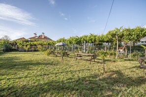 Ein Rasenbereich im Freien mit Picknicktischen und einer Pergola.
