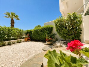 A courtyard with a gravel path, potted plants, and a palm tree.