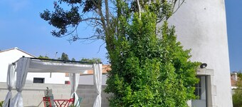 Sleep in a windmill 2 km from the beach!