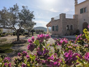 A stone building with a balcony, surrounded by a garden with purple flowers and a tree. - Mallorcan house with pool, garden, barbecue and WIFI near the beach (Manacor)