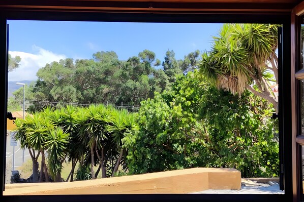 Blick aus dem Fenster auf einen üppigen Garten mit verschiedenen Bäumen und einer gepflasterten Fläche.