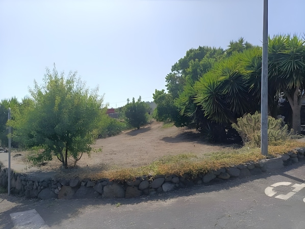 Une zone dallée, bordée d’un muret en pierre et agrémentée de verdure, notamment d’arbres et d’arbustes.