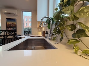 A kitchen with a white countertop, stainless steel sink, and a hanging plant. - Capitol Hill Rooftop Hot Tub Close to Light Rail (Seattle)
