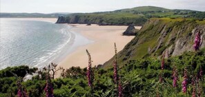 A coastal landscape with cliffs, beach, and vegetation.