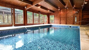 Ein Swimmingpool mit blauem Mosaikboden, Holzwänden und großen Fenstern.