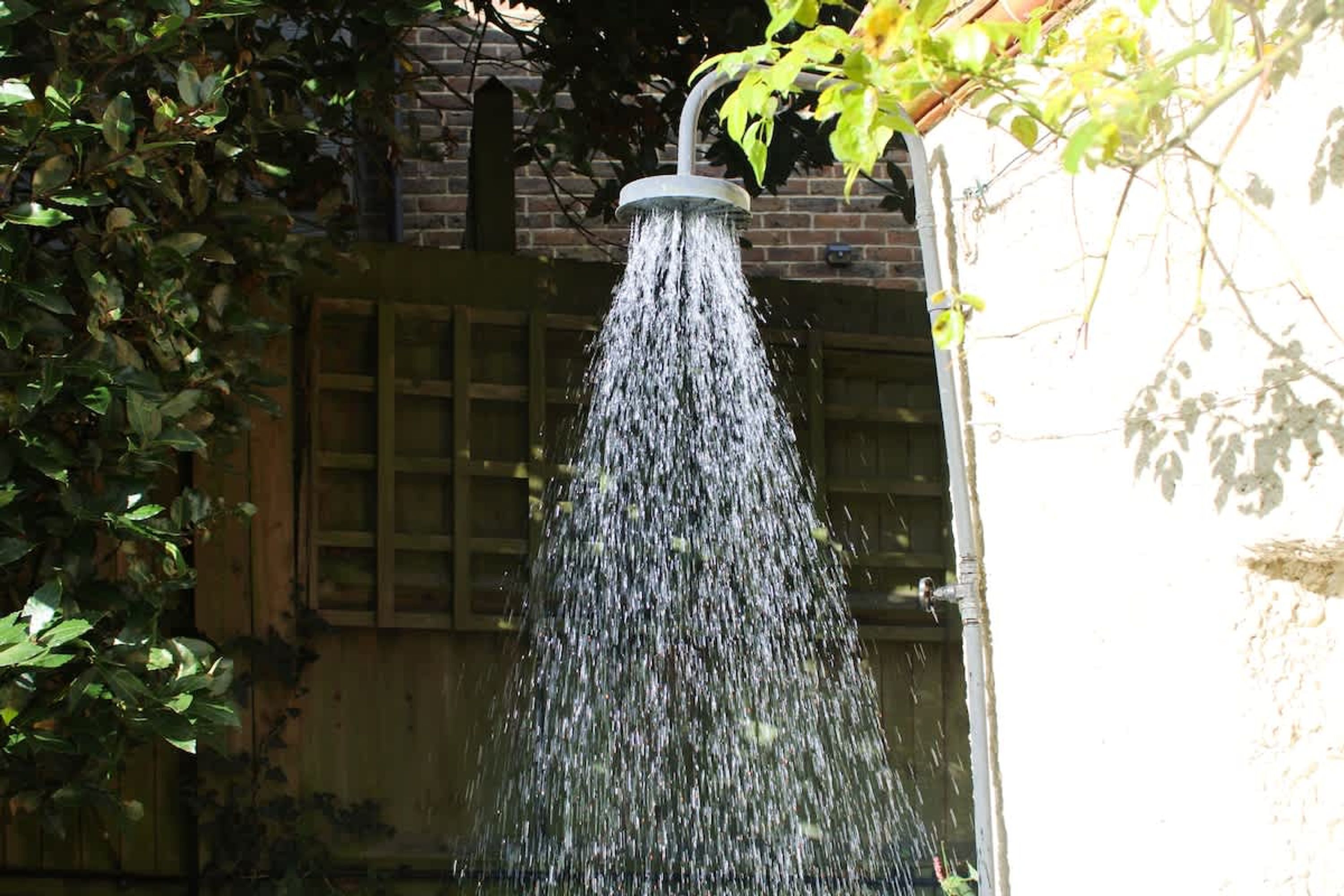 A showerhead with water flowing from it, surrounded by foliage and a brick wall.
