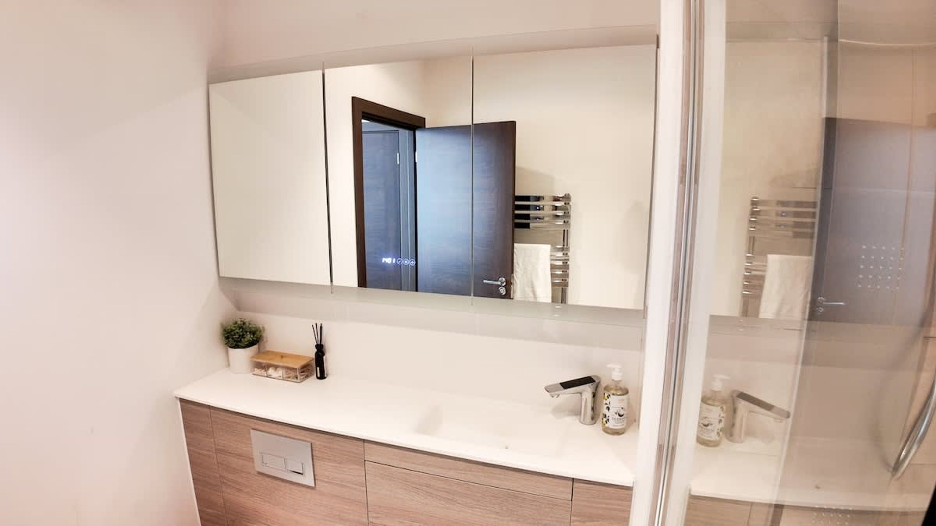 Un baño moderno con un espejo grande, un tocador blanco, cabina de ducha y una planta pequeña en el tocador.