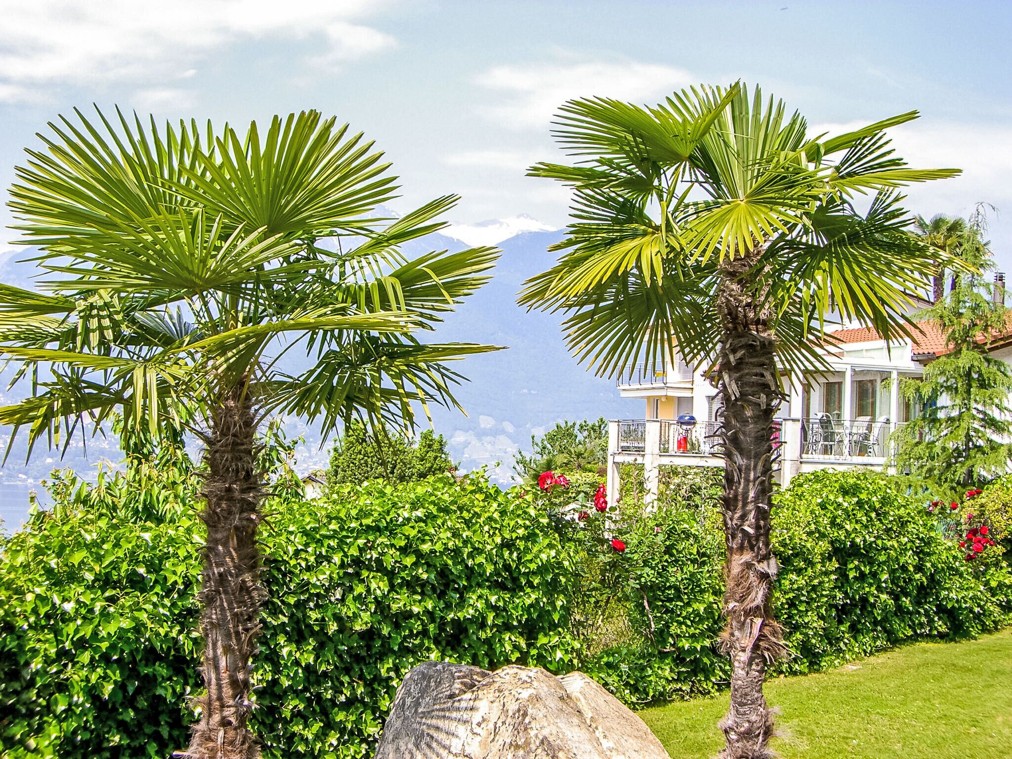 A lush garden with palm trees, a large rock, and a house with a balcony.