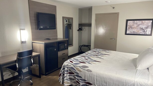 A hotel room with a bed, a desk with a chair, a microwave, and a television.