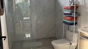 Shower, bidet, towels, soap