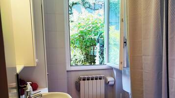 Shower, hair dryer, bidet, towels