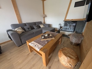 Fernseher