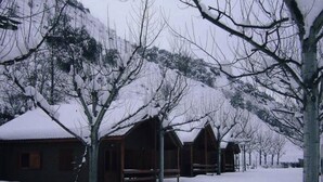 A row of wooden cabins with snow-covered roofs and bare trees in a snowy landscape. - Typical wooden bungalows near Sort, pets allowed (Montardit de Dalt)