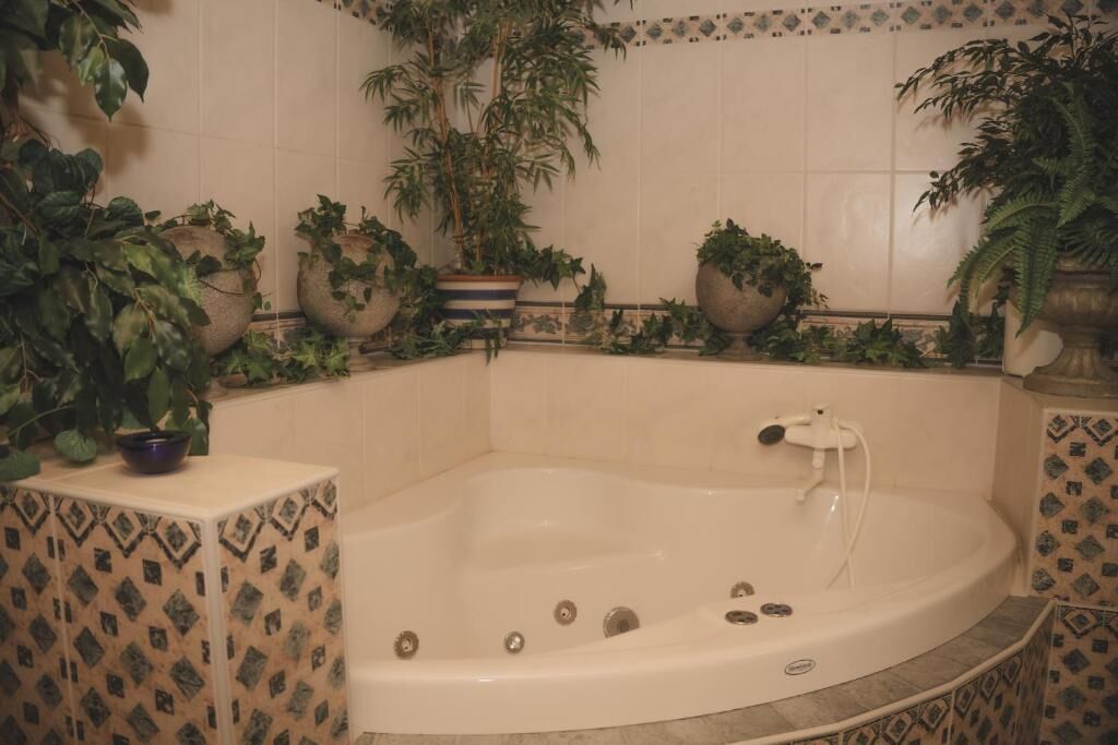 Une salle de bain avec une baignoire sur pieds, des murs carrelés et des plantes en pot.