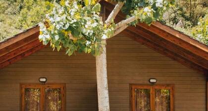 Wooden Bungalows with Porch and Pets Allowed