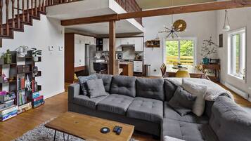 TV, fireplace, offices