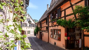 A narrow cobblestone street flanked by traditional half-timbered buildings with visible storefronts and signage.