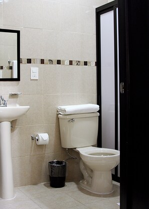 Shower, towels, soap, toilet paper - Hotel La Villa (TEQUILA)