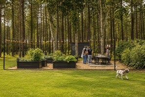 A garden with raised beds, a table, and chairs.