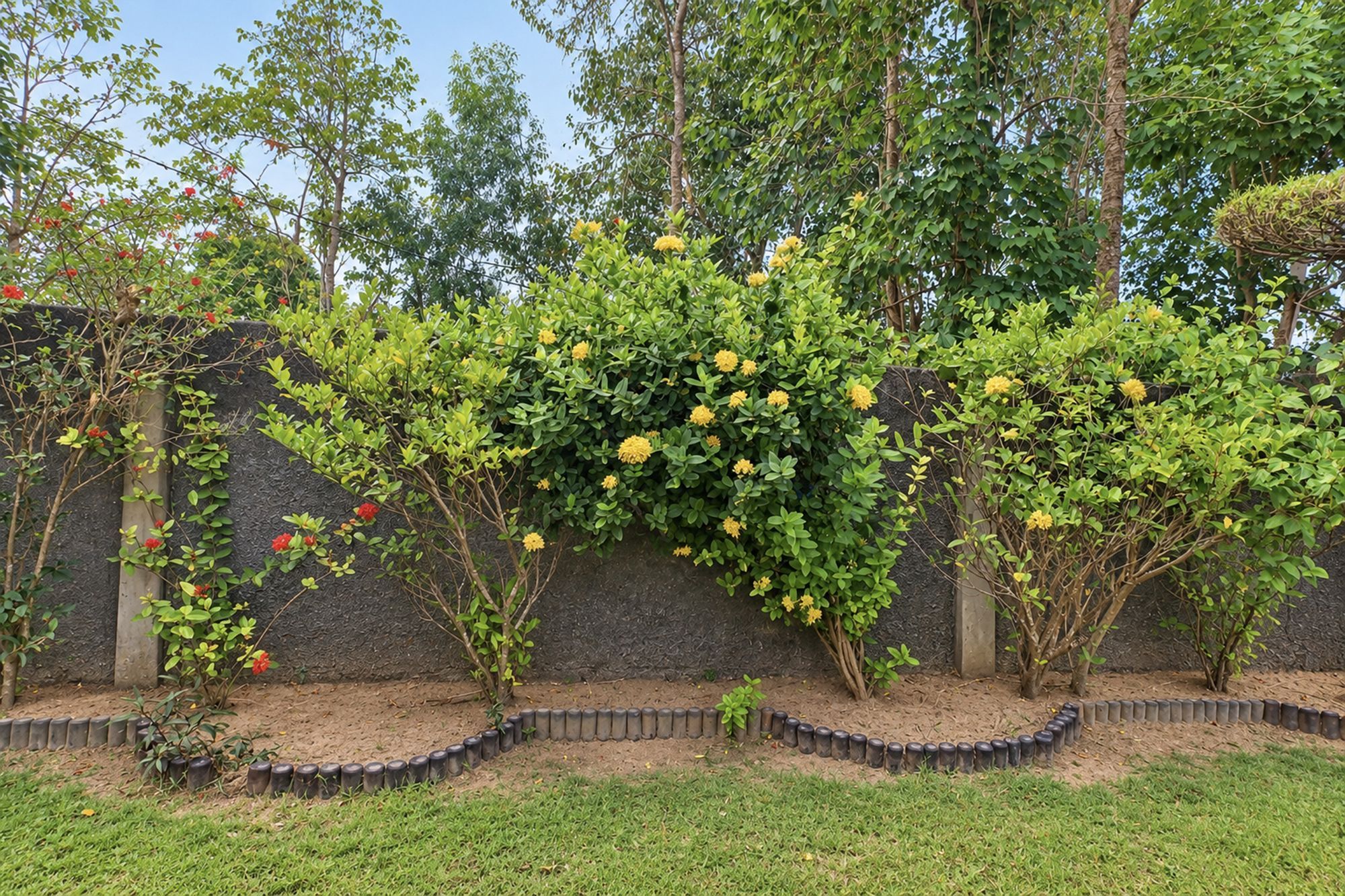 A garden with a variety of plants and a stone wall.