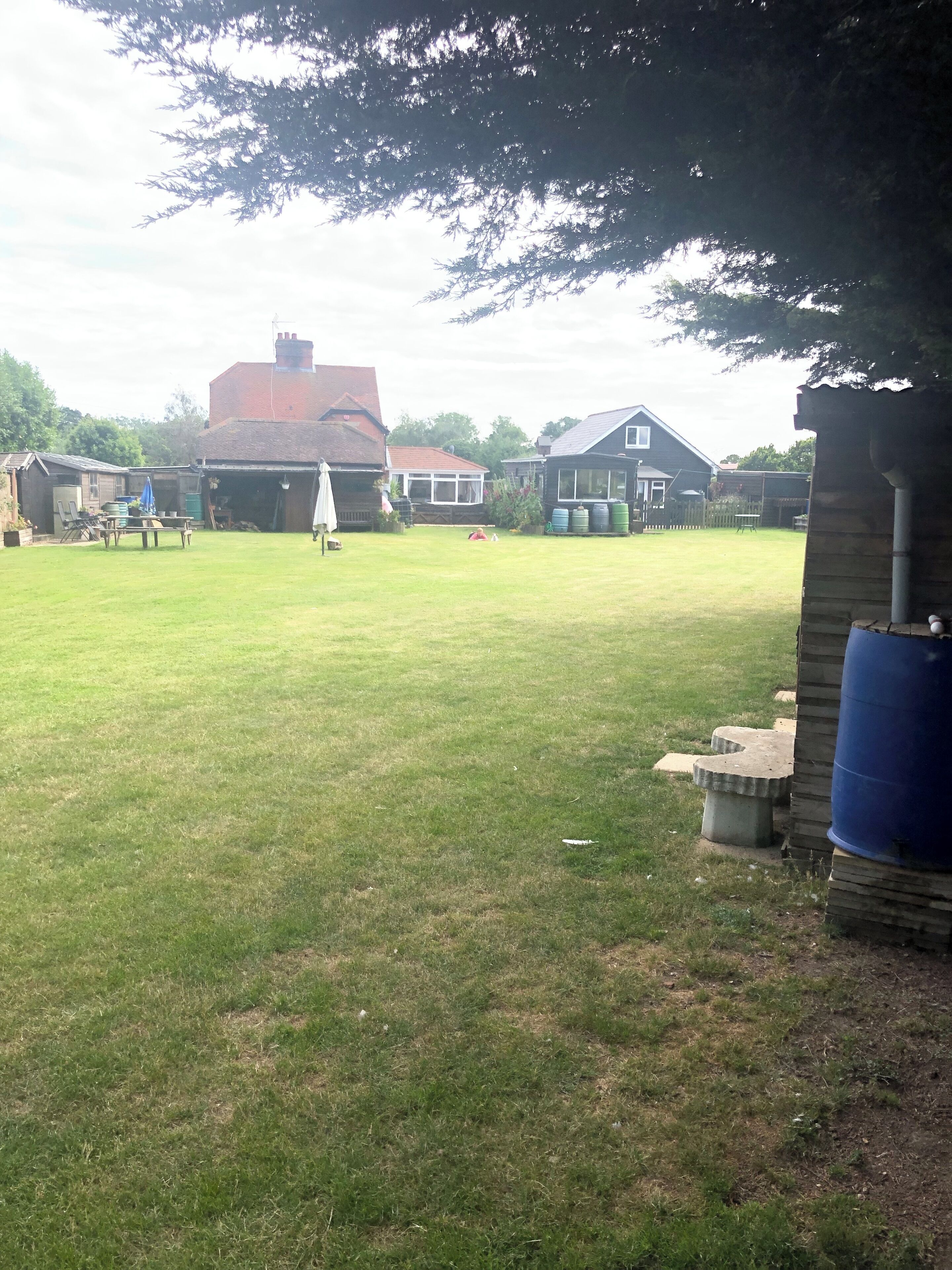 A grassy yard with a house, a garage, and a wooden structure.