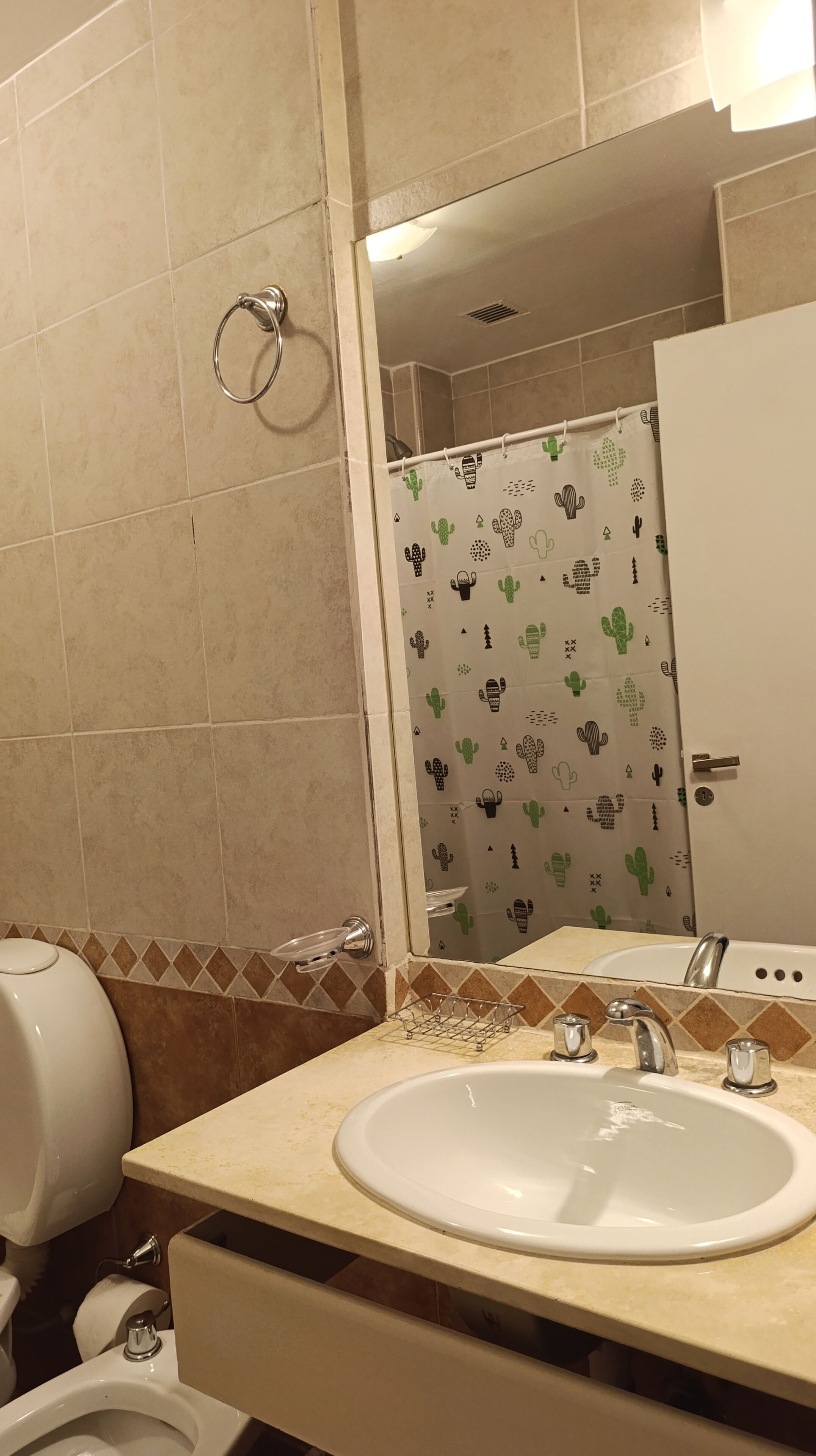 A bathroom with a toilet, sink, and shower curtain with cactus patterns.