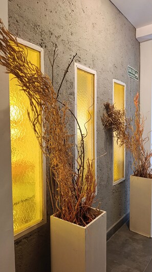 Un couloir avec des portes en verre dépoli, un panneau indiquant une sortie de secours et des plantes séchées décoratives dans des jardinières.