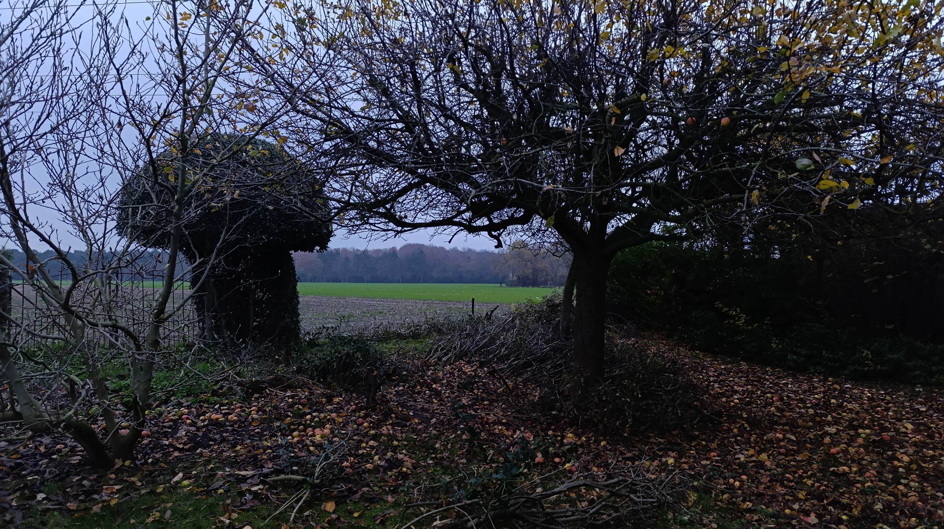 Miscellaneous