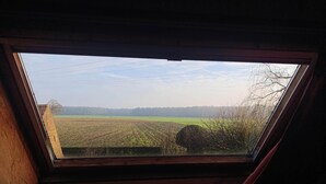 Une lucarne offrant une vue sur un champ et des arbres.