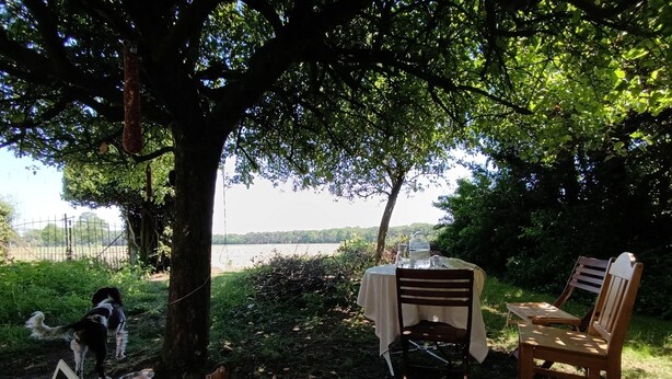 Un espace extérieur paisible, aménagé avec une table et des chaises sous un arbre, offrant une vue sur une étendue d’eau.